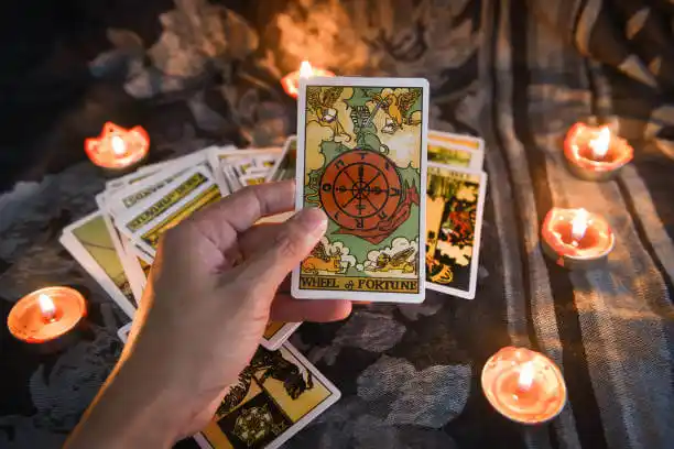 tarot cards Rose City